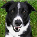 Bryson was adopted in June, 2006